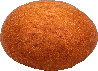 Brioche Hamburger