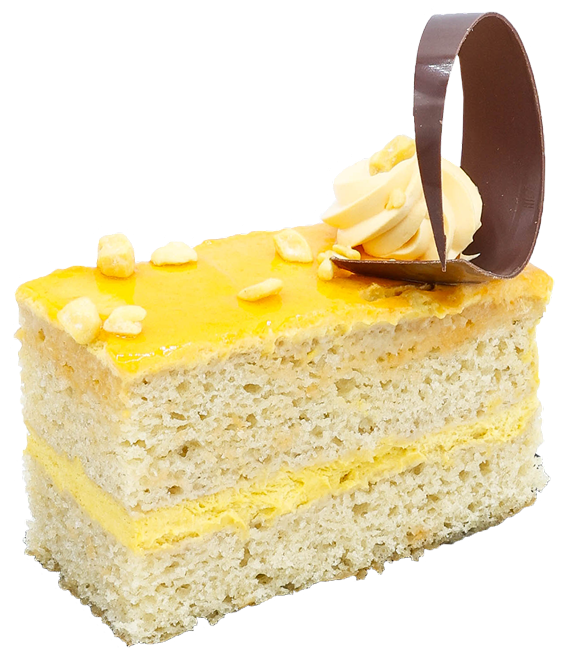 Vegan Mango Mousse Cake