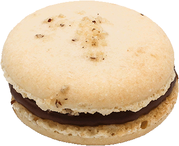 Hazelnut