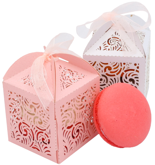 Favor Boxes with 2 Macarons