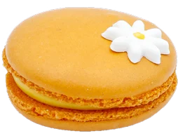 Tropical Mango & Passionfruit